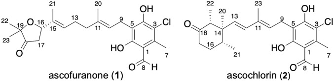 Fig. 1.