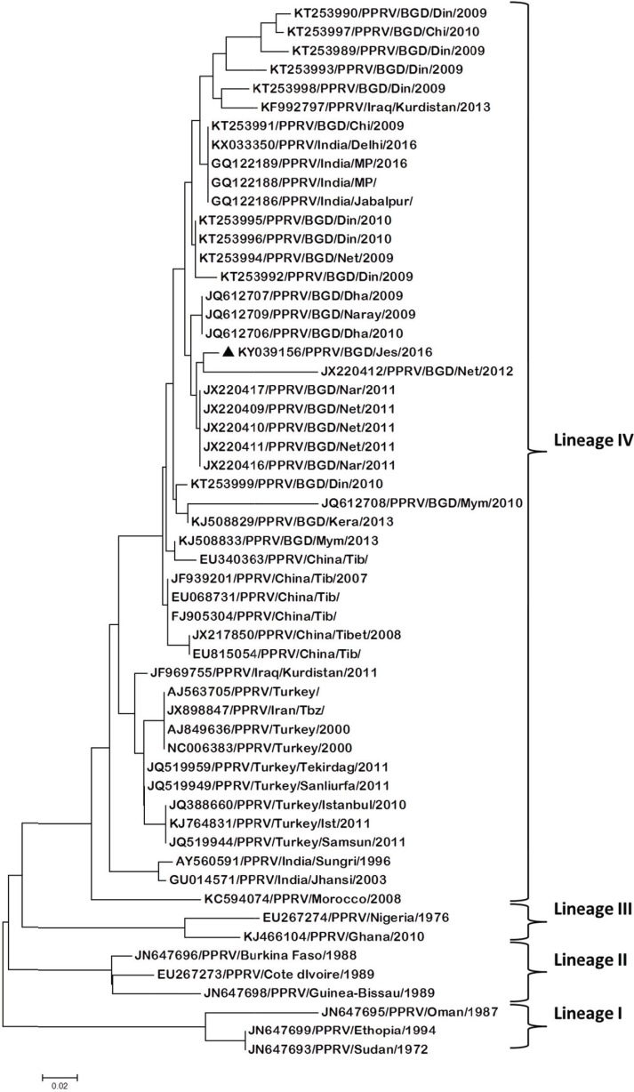 Figure 5.