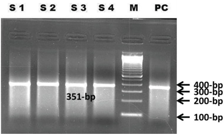 Figure 4.