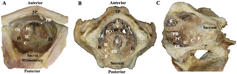 Fig. 1.