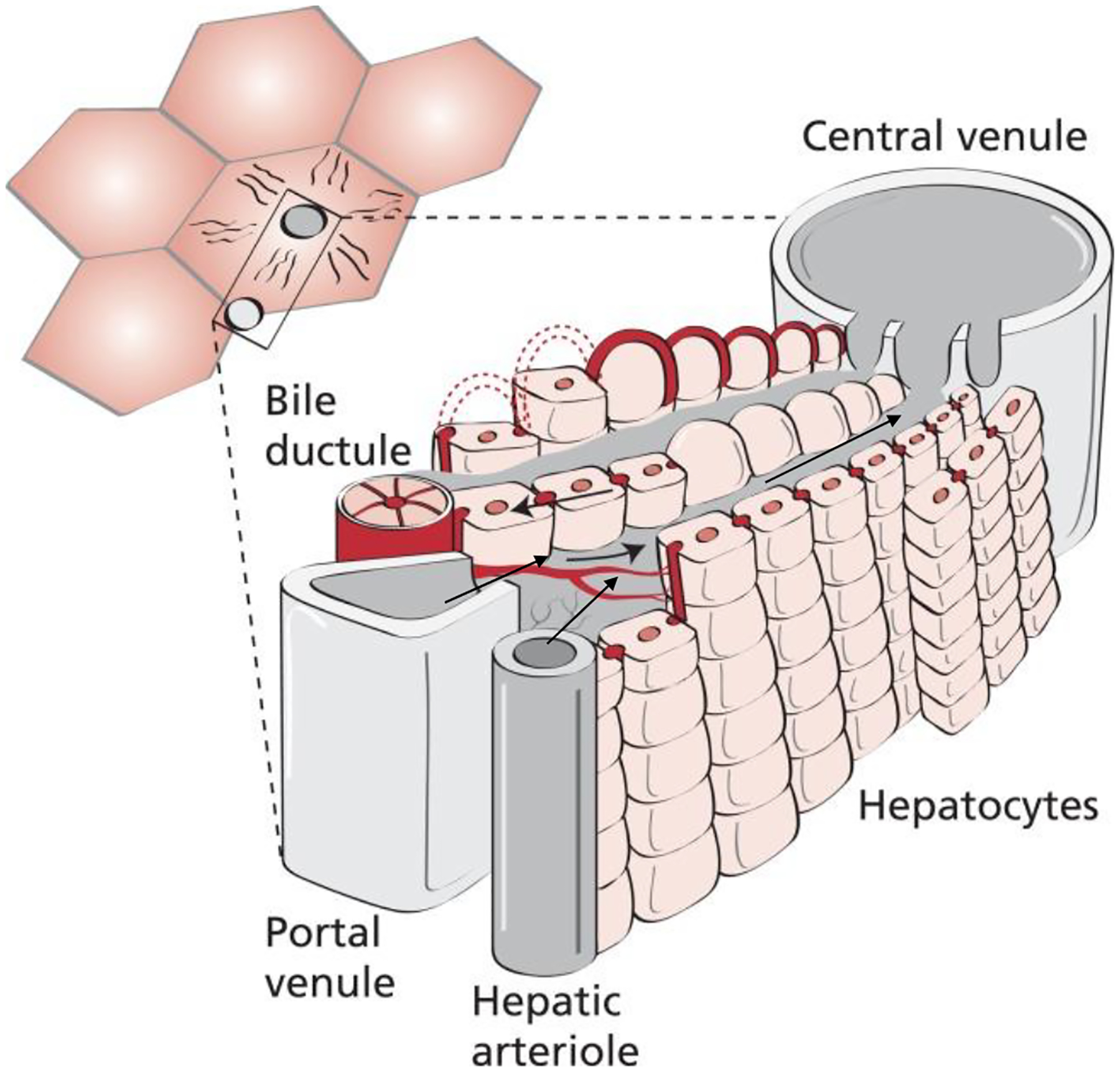 Figure 2: