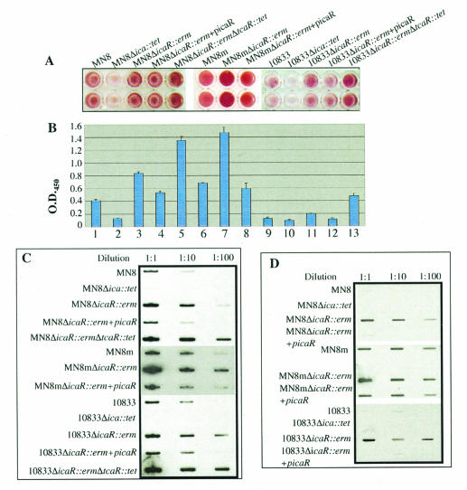 FIG. 6.