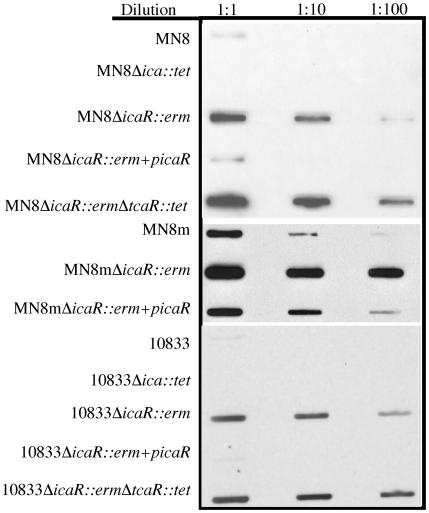 FIG. 5.