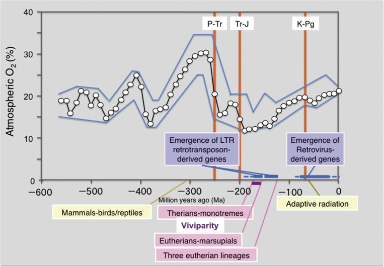 Figure 11. 