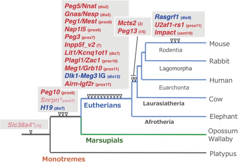 Figure 6. 