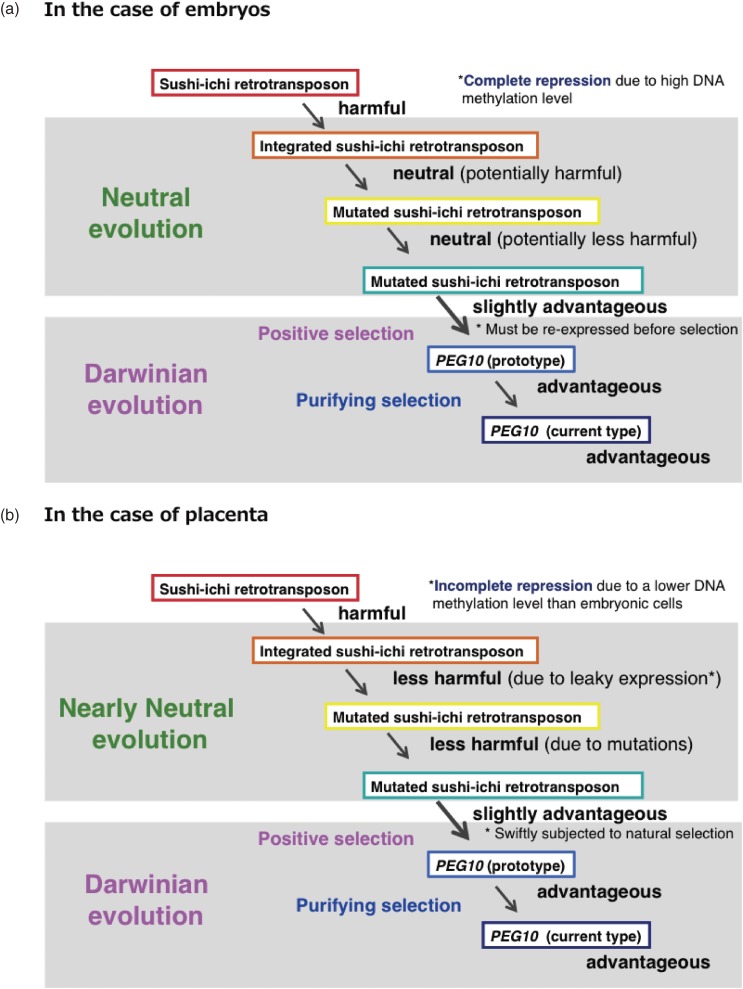 Figure 10. 