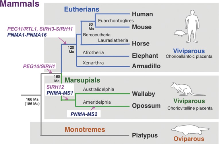 Figure 9. 