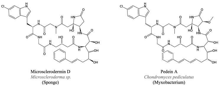 Figure 13