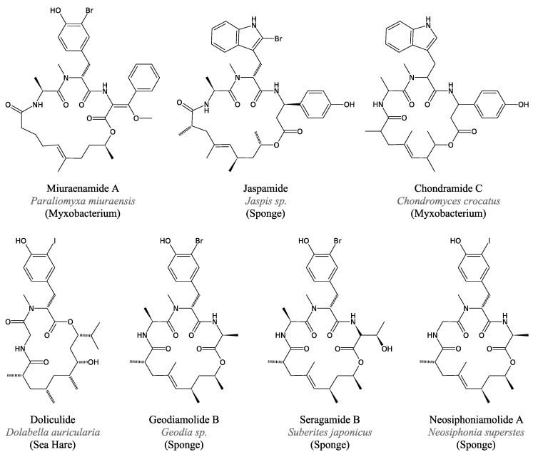 Figure 11