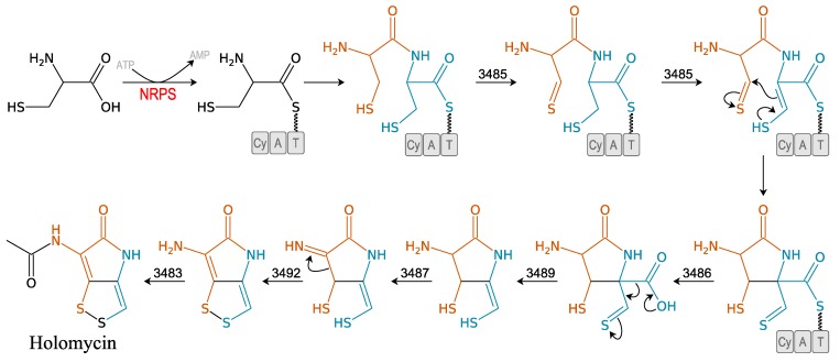 Figure 5