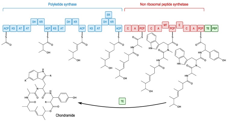 Figure 12