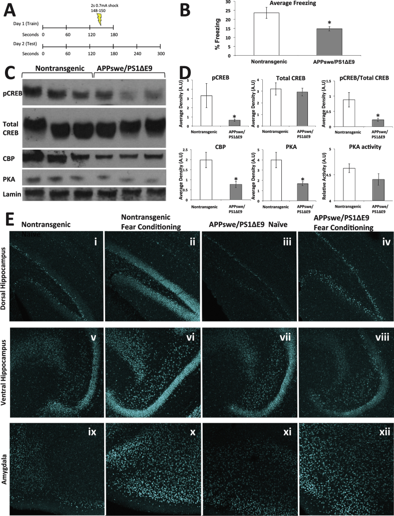 Fig.2