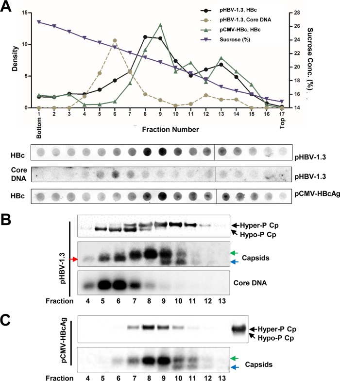 FIG 4