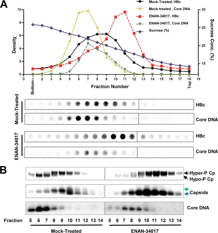 FIG 3