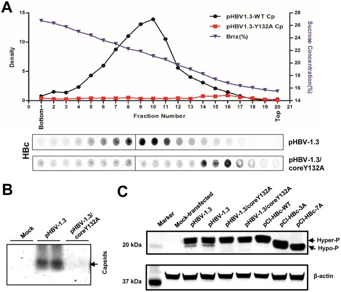 FIG 6