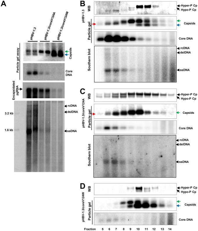 FIG 8