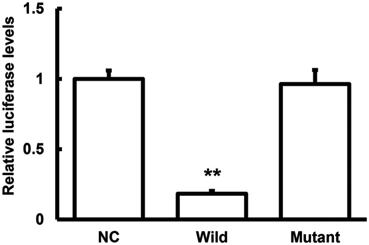 Figure 5.