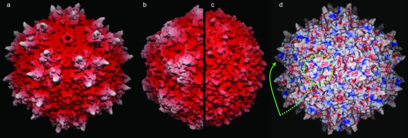 Fig 3.