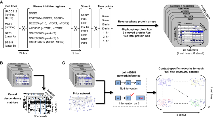 Figure 2