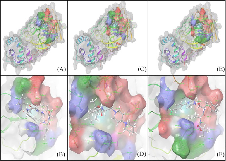 Fig. 4