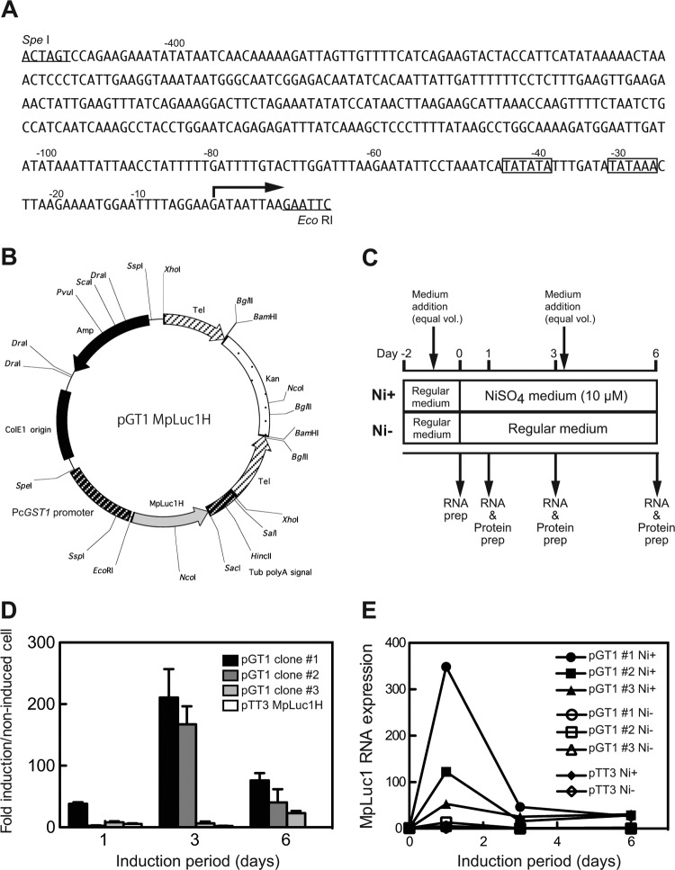 FIG 7