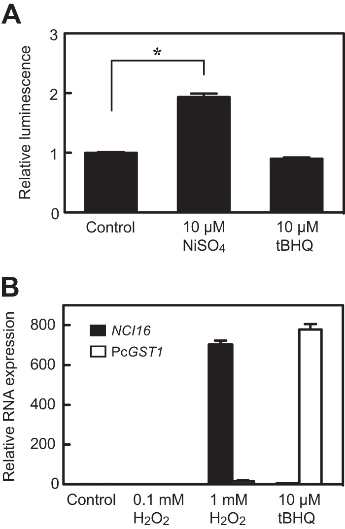 FIG 6