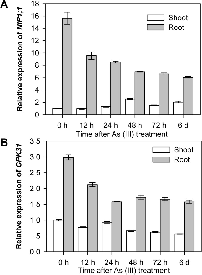 Fig 6