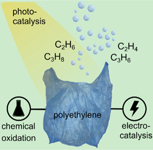 graphic file with name cs1c02133_0006.jpg