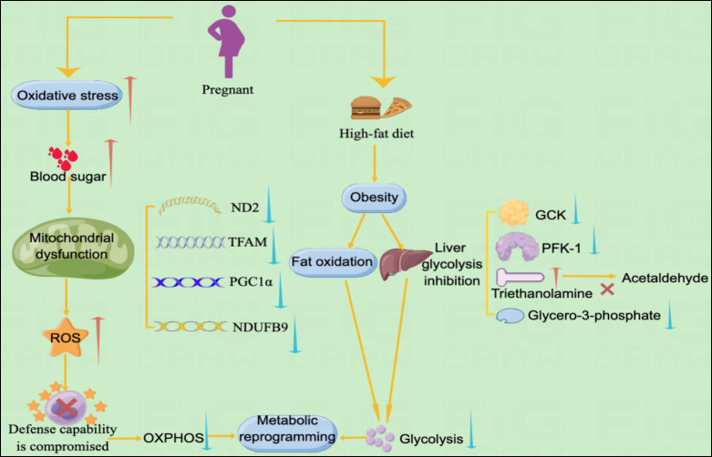 Figure 3