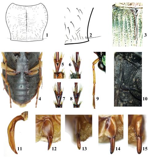 Figures 1–15.