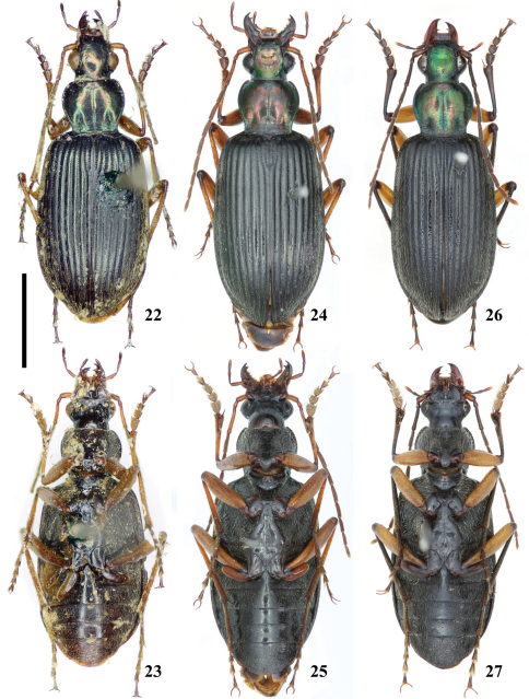 Figures 22–27.