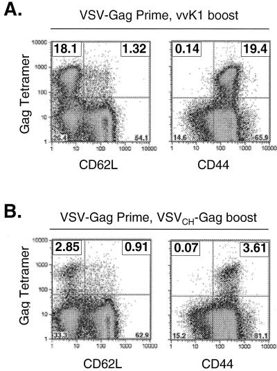 FIG. 9.