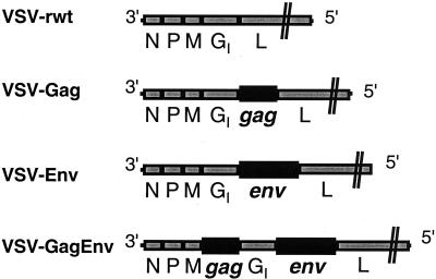 FIG. 1.