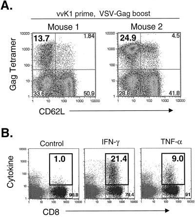 FIG. 7.