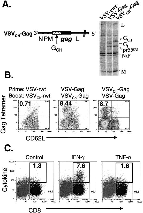 FIG. 8.