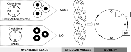 Fig. 3.