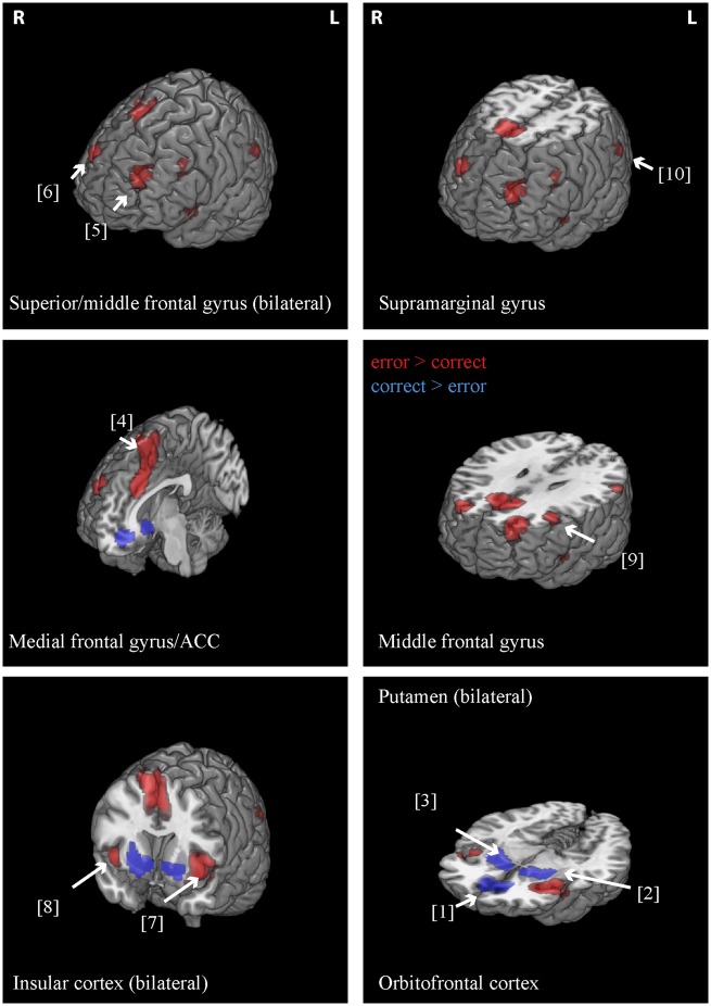 Fig. 3.
