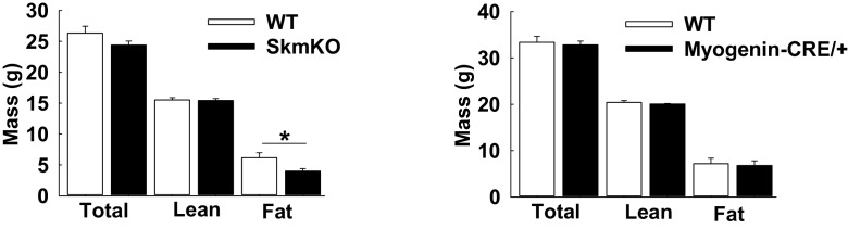 Figure 3—figure supplement 2.