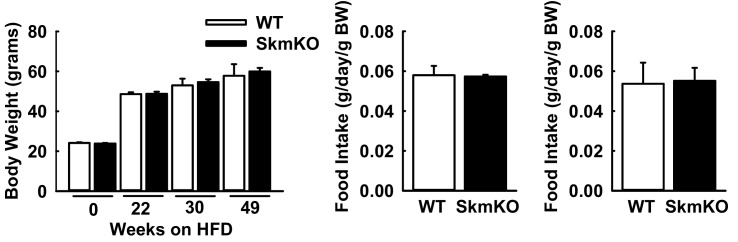 Figure 6—figure supplement 1.