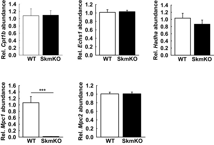 Figure 5—figure supplement 2.