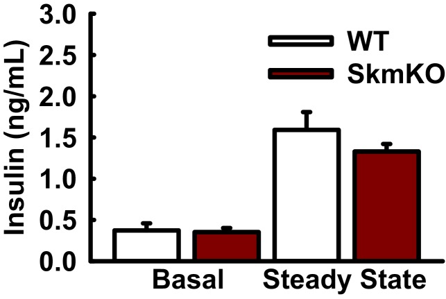 Figure 4—figure supplement 1.