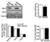 Figure 6—figure supplement 2.