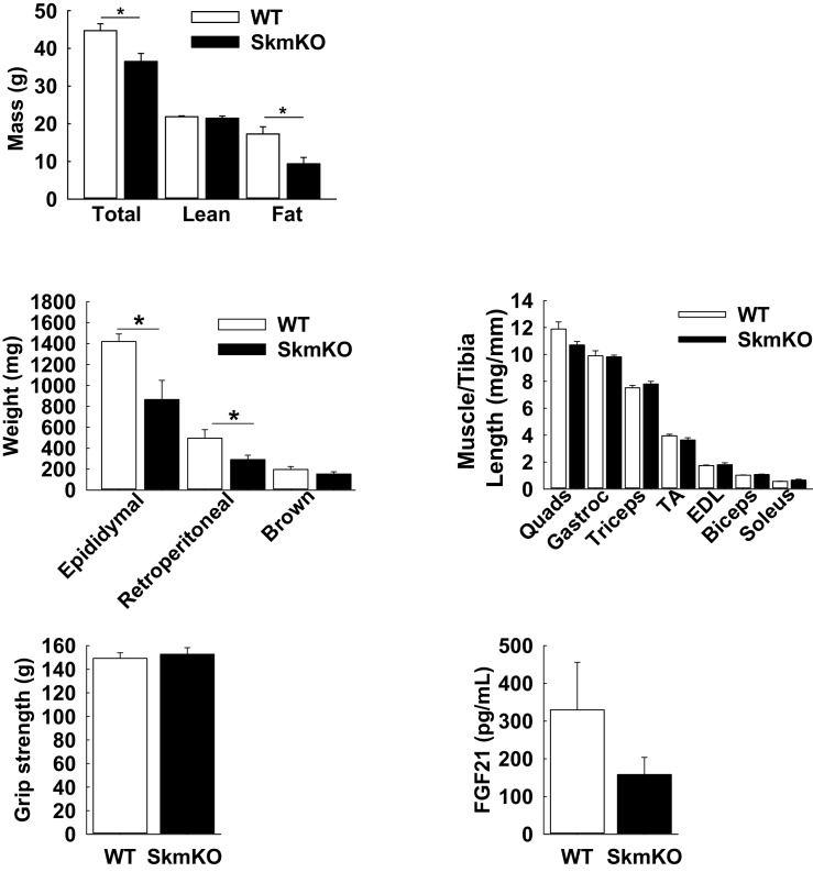 Figure 3—figure supplement 1.