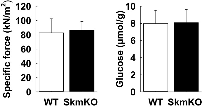 Figure 2—figure supplement 1.