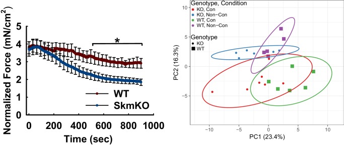 Figure 5—figure supplement 1.