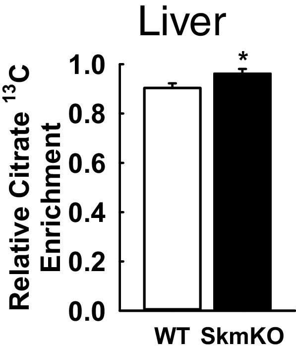 Figure 5—figure supplement 3.