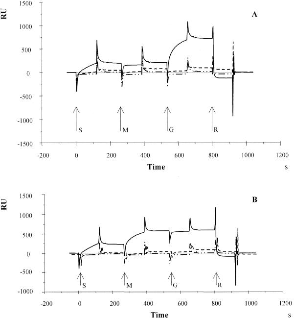 FIG. 1