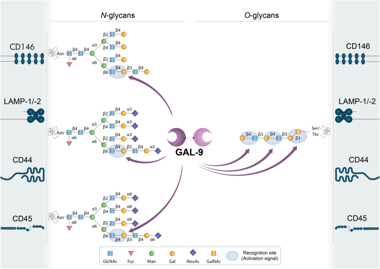 Figure 5