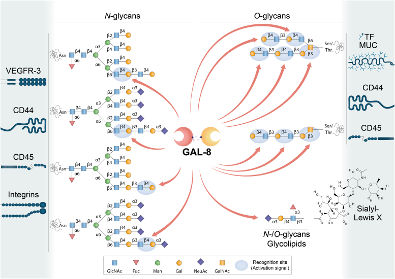 Figure 4