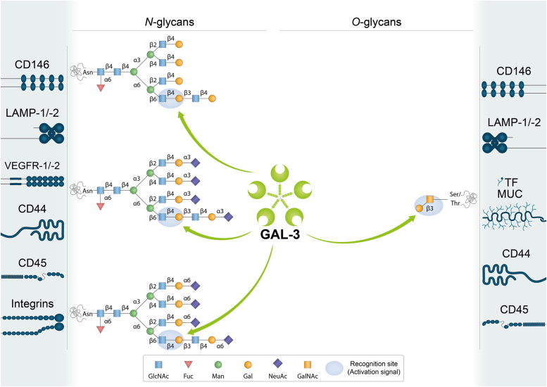 Figure 3